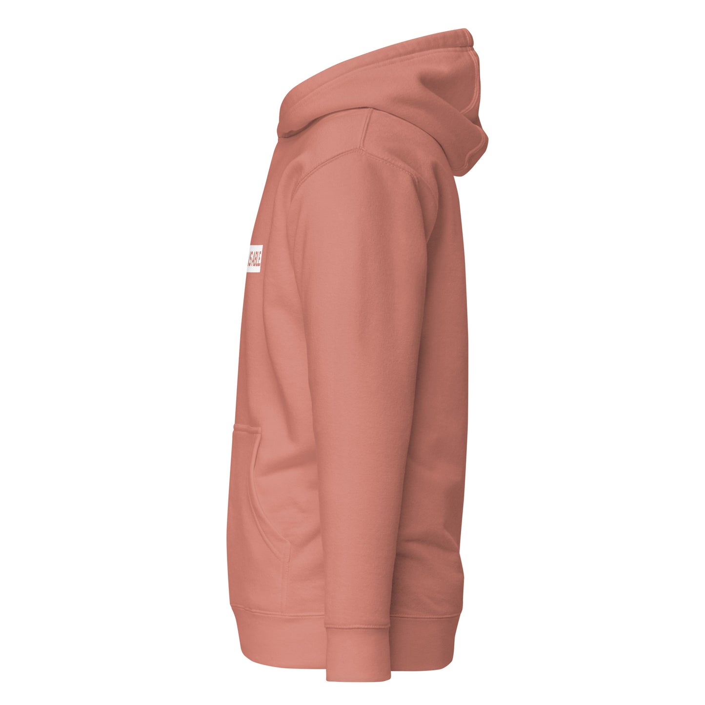 God is Able Premium Unisex Hoodie