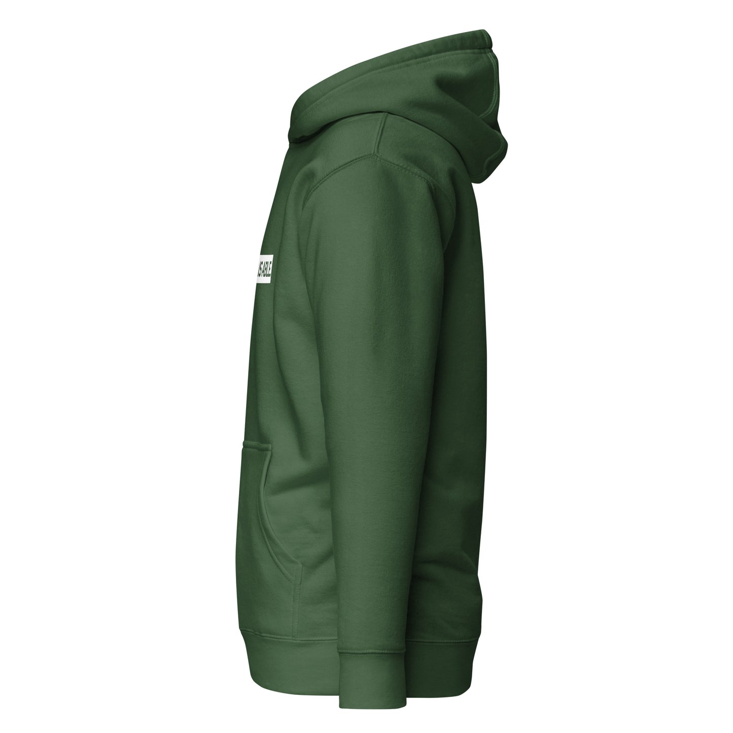 God is Able Premium Unisex Hoodie